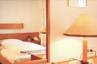 波斯圖本飯店 BENSHEIM站附近的飯店