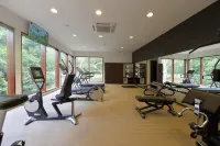 Le Domaine Déva, Series by Marriott - Gym