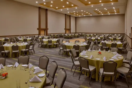 Galeria Plaza Irapuato Отели в г. Ирапуато