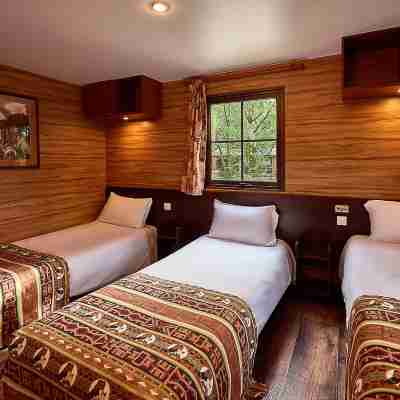 Disney Davy Crockett Ranch Rooms