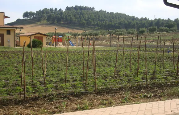 菲耶裏農莊酒店