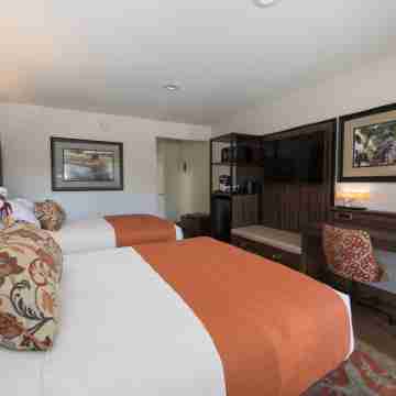 The Vine Inn Davis Rooms