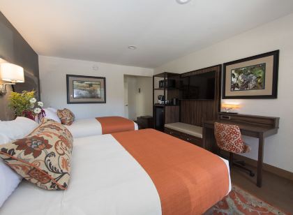 더 바인 인 데이비스