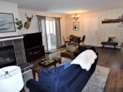 藍河公寓式客房 3 床 2 衞酒店