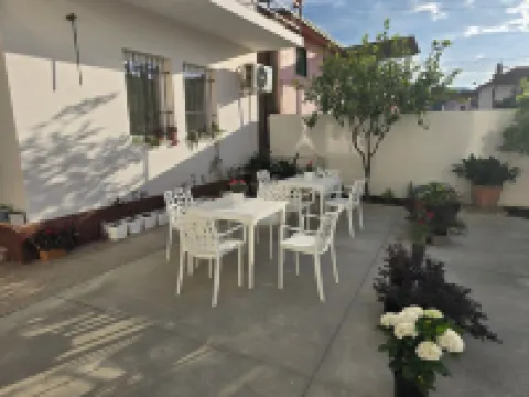 亞歷克斯酒店 酒店