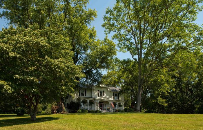 Orchard House B&B