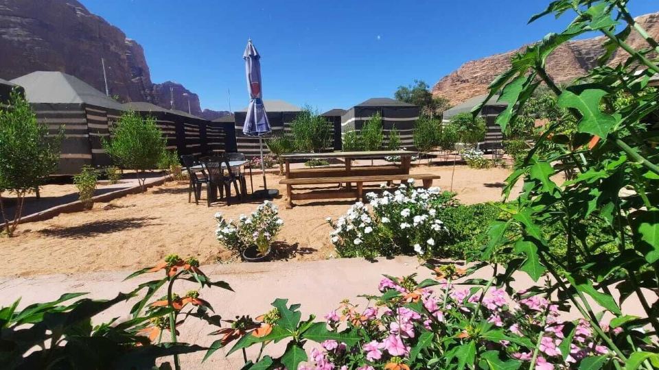 Bedouin Village Hostel