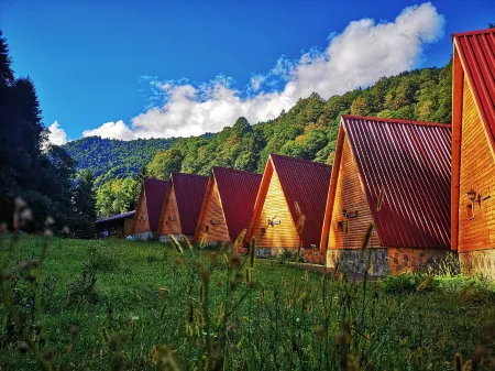 Kotit Ayder Bungalov & Restaurant Отели в г. Guroluk Koyu