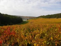 L'Haubette Hotels in Bar-sur-Aube