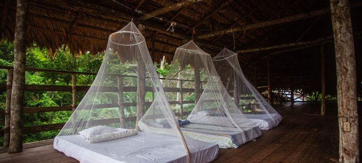 Ditsowou Lodge & Tours Hotels in Talamanca