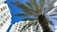 The Point Hotel & Suites Universal Hotels in Orlando