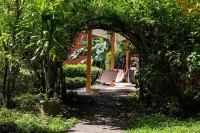 野生太陽救援的叢林小屋 - 機場接送