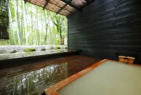 Mount View Hakone - Spa