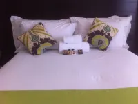 Cycad Palm Guest House - WiFi