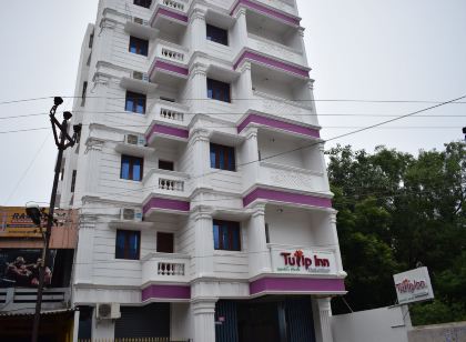 White Tulip Residency