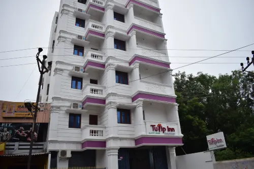 White Tulip Residency