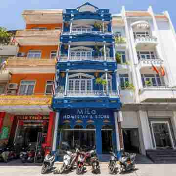 MiLa - Homestay in Hue Hotel Exterior