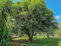 Villa il Profumo degli Aranci Hotel a Eboli