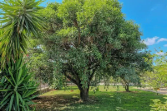 Villa il Profumo degli Aranci