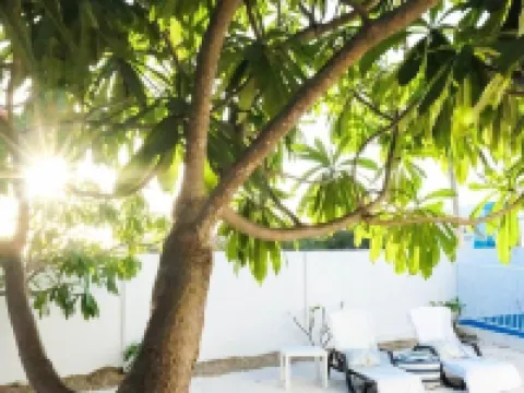 Ocean Front Property - Villa 3 Aruba with Hot Tub Hotels in Savaneta
