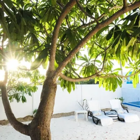 Ocean Front Property - Villa 3 Aruba with Hot Tub