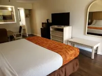 The Paragon of Golden Isles