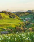 Kronelodge Hotels in Uzwil