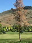 Floor level, Pet friendly, porch and barbecue Hotels in Sun Valley