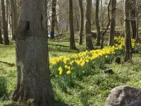 South balcony with the sound of the sea, three-room apartment for 4-5 people. Hotels in Kellenhusen