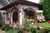 Butterfly Apartment