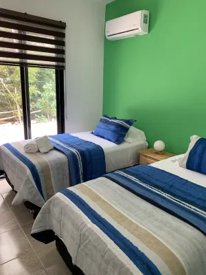Beautiful house situated between the jungle and the sea- Pool/Bikes