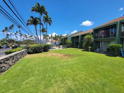 Entire ocean view1 bedroom apt poolside