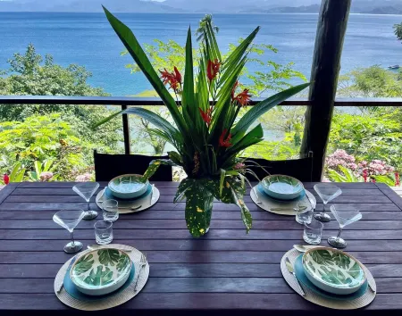Chic Serene & Secluded Beachfront Villa  -- Your Own Private Resort Отели в г. Vanua Levu
