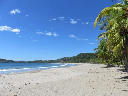 Fabulous Ocean View, Walking Distance to the Beach