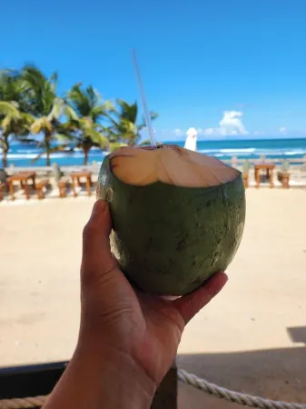 Coastal Town Retreat in Dorado, PR Отели в г. Дорадо