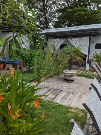 Coconut Life Cabina "Angel"