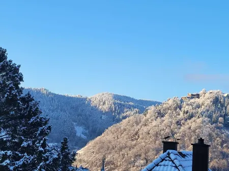 Ferienwohnung "schwarzwaldblick " Отели в г. Шрамберг