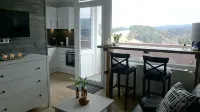Top modern apartment Altenau in the Upper Harz