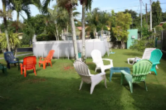 Bed and Breakfast Little Italy Hotels in 