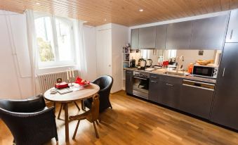Luxury Apartments Justingerweg Bern