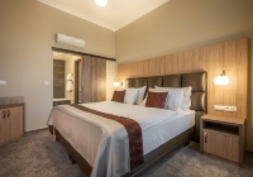 Efi Spa Hotel Superior & Pivovar