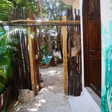 Tubo Tulum Hostel