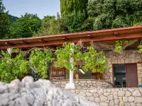 Hotel Villas Plat Hotels in Plat