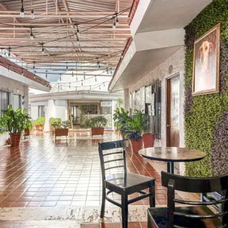 Hotel Arana Tonalá
