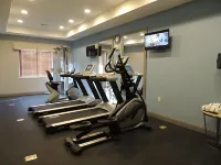 Holiday Inn Express & Suites MONAHANS I-20 by IHG - Gym