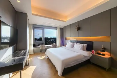 The Brain Hotel Hotels near Modumodu Chimjilbang