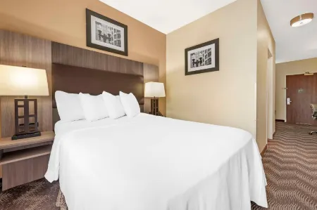 Quality Suites