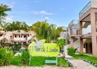 Flor de Limón Pool Condo—Beach & Cafés Steps Away