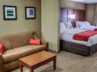 Comfort Suites Plymouth Near US-30 Hotels in Marshall County