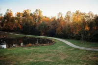 Spacious Group Stay-Pond Retreat, Fishing & Wineries Near Cville & SNP